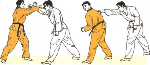 圖片58