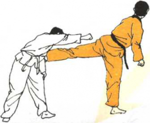 圖片75
