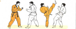 圖片76