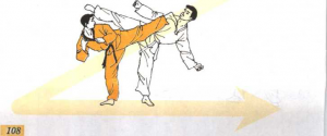 圖片77
