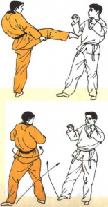圖片79