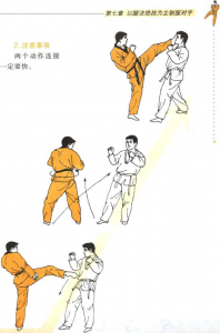 圖片85
