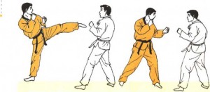 圖片86