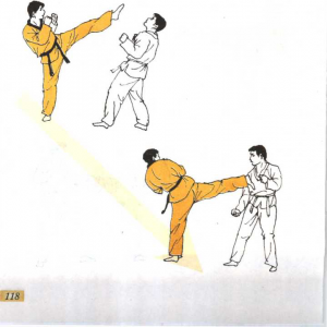 圖片95