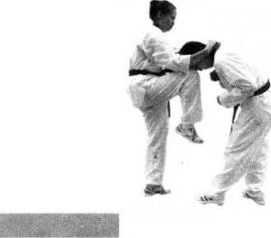 圖片9