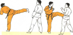 圖片106