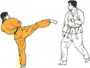 圖片111