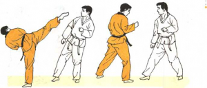 圖片115