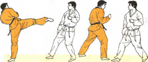 圖片117