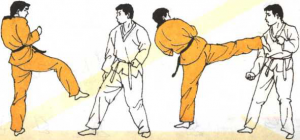 圖片118