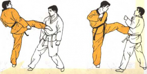圖片120