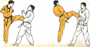 圖片122