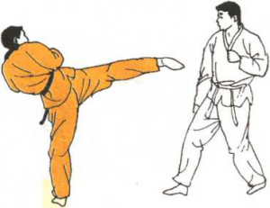 圖片124
