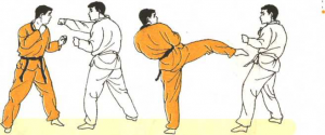 圖片126
