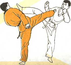 圖片129