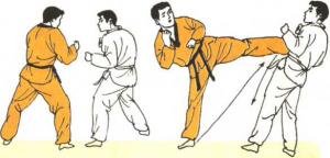 圖片135