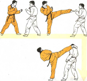 圖片139