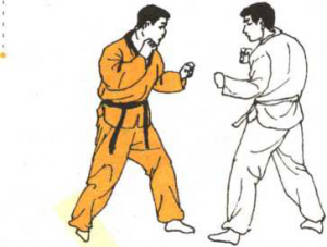 圖片147