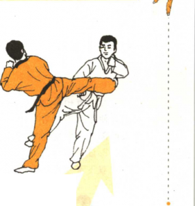 圖片149