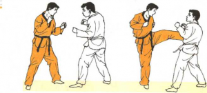 圖片152