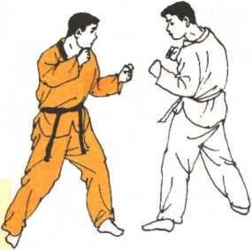 圖片155
