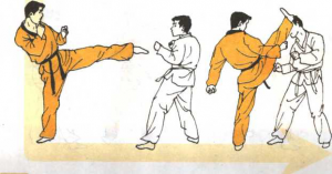 圖片156