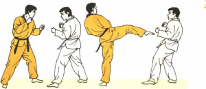 圖片157