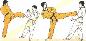 圖片164