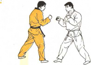 圖片165