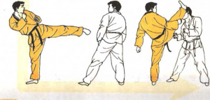 圖片166