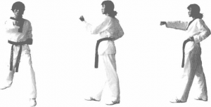 圖片113