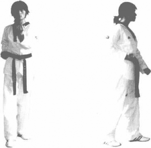 圖片121