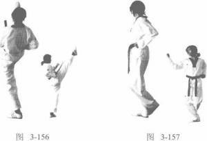圖片236