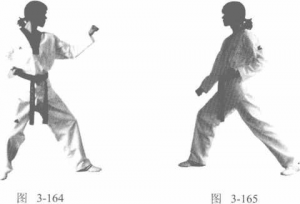 圖片238