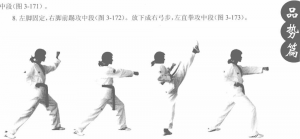 圖片240