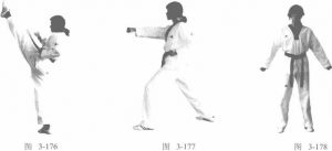 圖片242