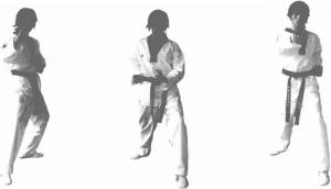 圖片246