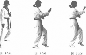 圖片252