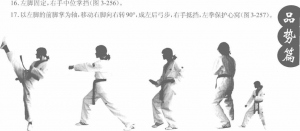 圖片277