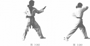 圖片282